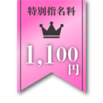 特別指名料1,100円